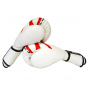 Boxerské rukavice White-Flame BAIL vel. 10 oz side