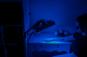 Fotobiomodulační LED Panel Nuovo Therapy RD500 Blue modré světlo