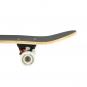 Skateboard NILS Extreme CR3108 Camper