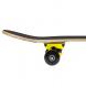 Skateboard NILS Extreme CR3108 SA Anti Hero