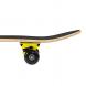 Skateboard NILS Extreme CR3108 SA Anti Hero